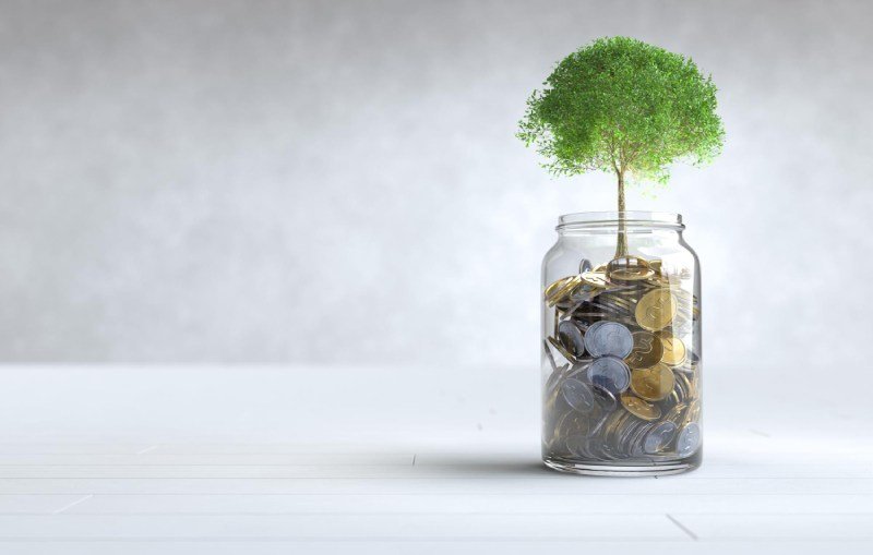A tree grows on a coin in a glass jar