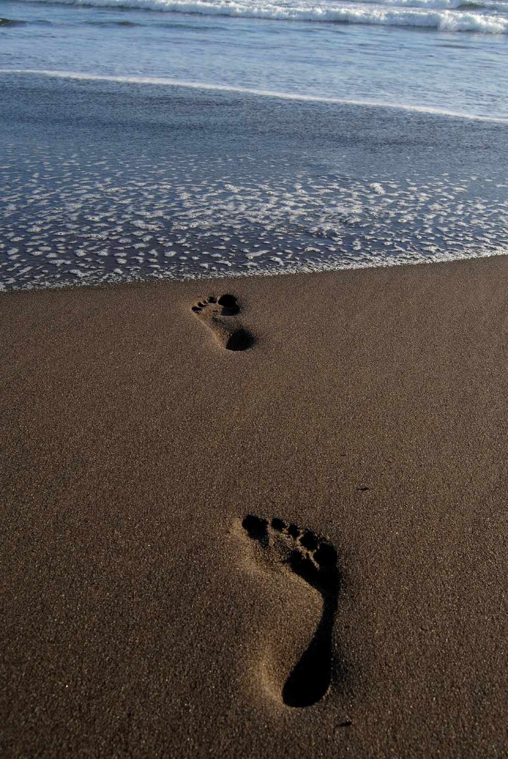 footprint